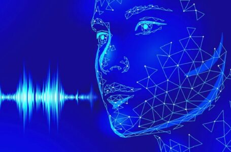 Biometria de voz para prevenir fraudes no comércio eletrônico